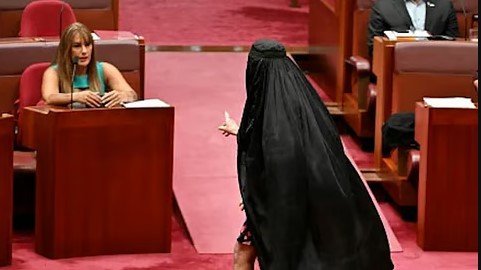 Senator Hanson suspended for wearing burqa in Australian parliament
