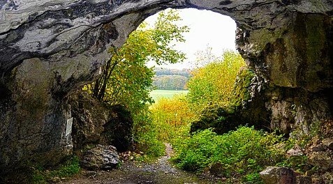 Wellness Trends Shift Toward Personalization and Nervous System Health