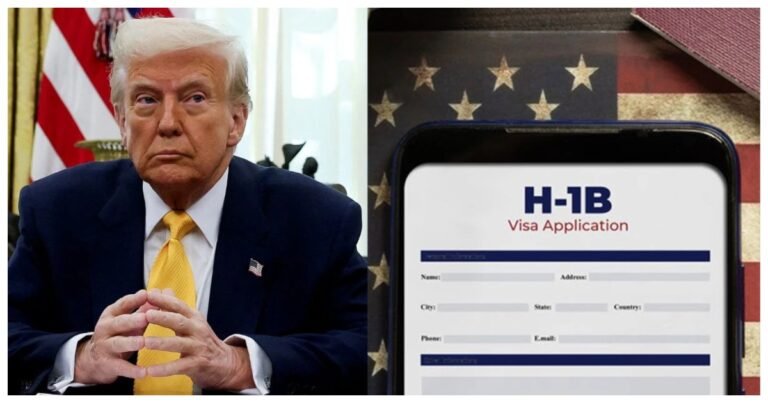 Come to America, get on the train, go home.